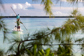 Fishing in the Bahamas